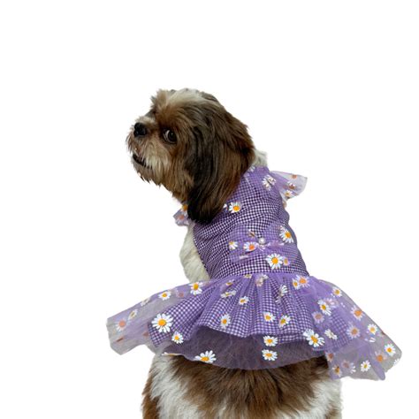 Dog Dress, Female dog dress, shihtzu birthday dress, dog birthday dress ...