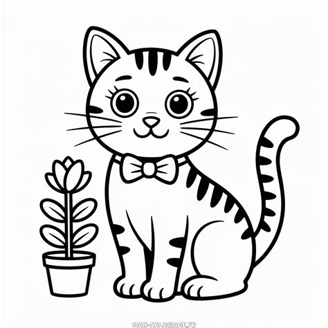 Image result for ArrayList Computer Science Java