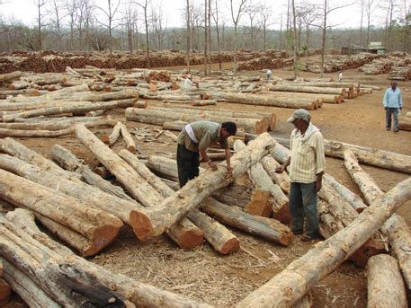 Centre ignores certifying agency