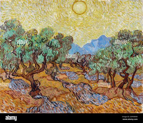 Vincent van Gogh - Olive Trees (1889) famous landscape painting Stock ...