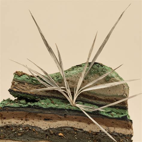 Enzyme Attack → Term - Horizontal Layers