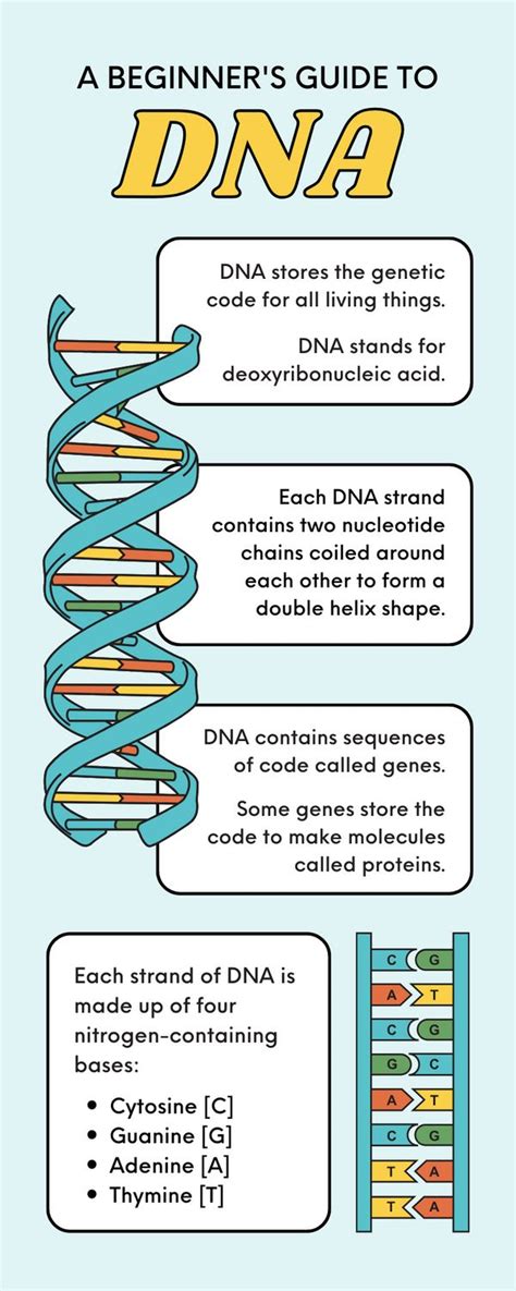 Basic Science Examples 的图像结果