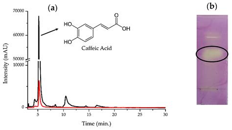 Global Phenolic Composition and Antioxidant Capacity of Extracts from ...
