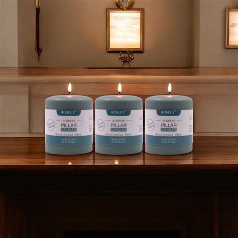 Buy HOSLEY Set of 3 Eucalyptus Mint Scented Pillar Candles from Hosley ...