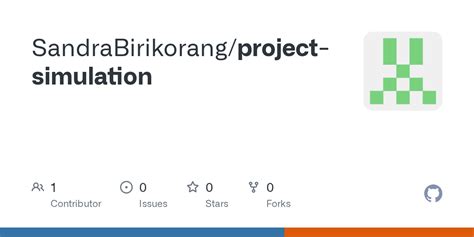 Project Simulation 的图像结果