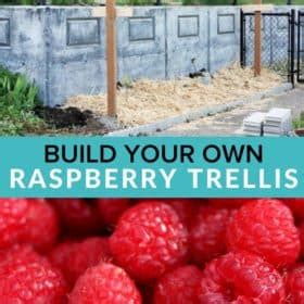 Image result for How to Make Raspberry Support Using Calf Panels