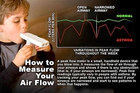 Image result for Peak Flow Meter Chart How to Use