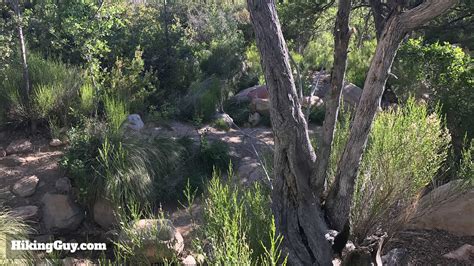 Hike First Creek Canyon Trail