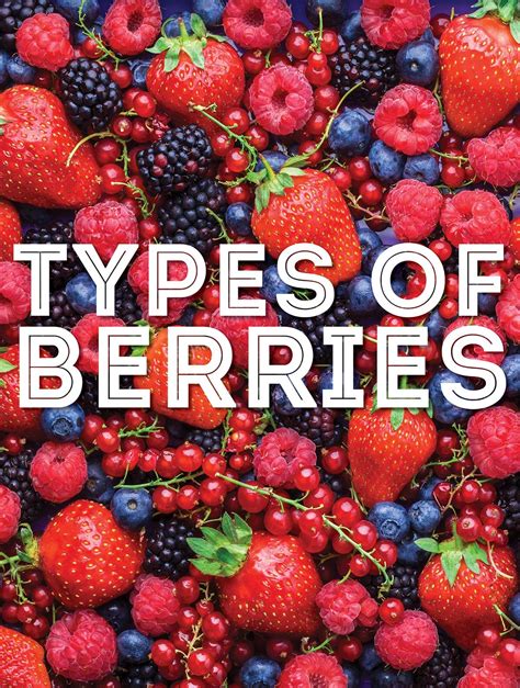 Different Types Of Berries Fruit Top 10 Easy To Grow Fruit Trees