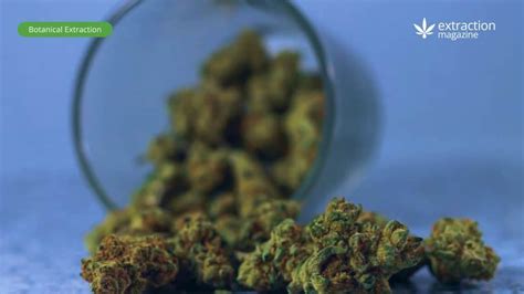 Image result for THC Extraction Process