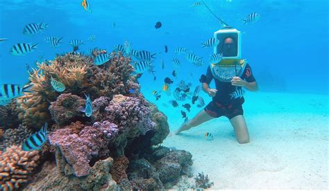 AQUA SAFARI - All You Need to Know BEFORE You Go 2026 (with Photos ...