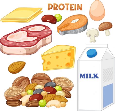 Protein Foods Clipart at Frank Jimenez blog