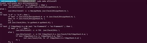 Installing Python 3.9 的图像结果