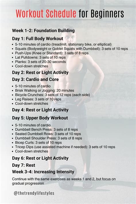 Image result for Daily Workout Routine for Beginners