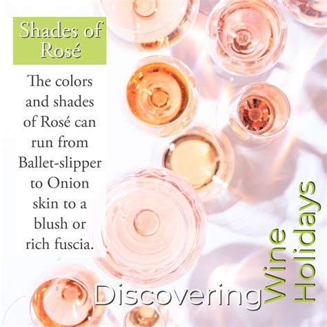 Celebrating National Rosé Day! | Crushed Grape Chronicles