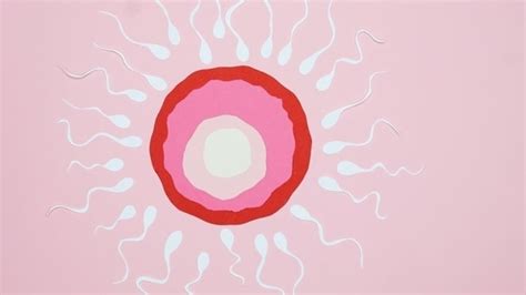 What is unexplained infertility? Here are some possible causes you need ...