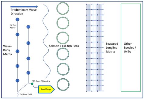Review of the Status and Developments in Seaweed Farming Infrastructure