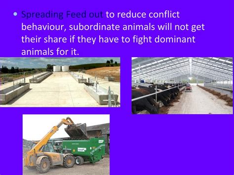 Image result for Animal Behaviour