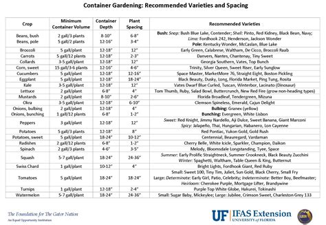 Vegetable Container Size Chart In Inches at Rebecca Castillo blog