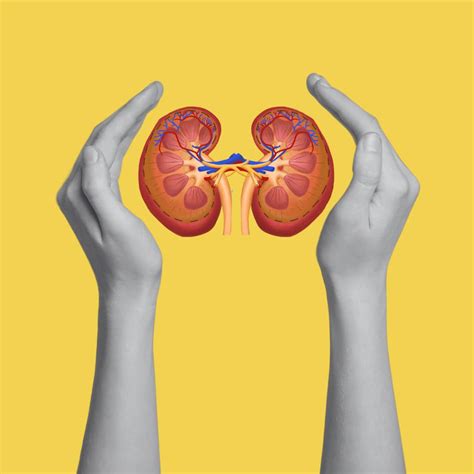 Therapist-Led Living Better With Chronic Kidney Disease Adults Support ...