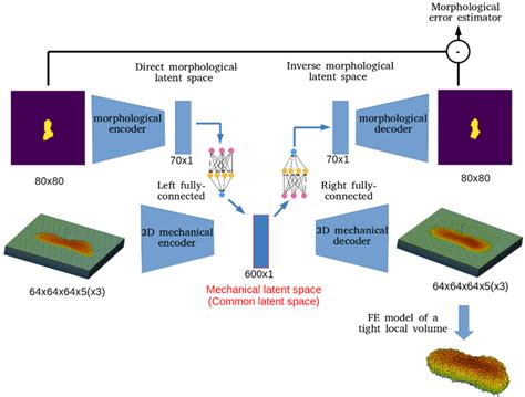 Image result for Multimodal Encoder