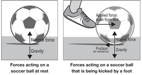 Force | Primary Connections