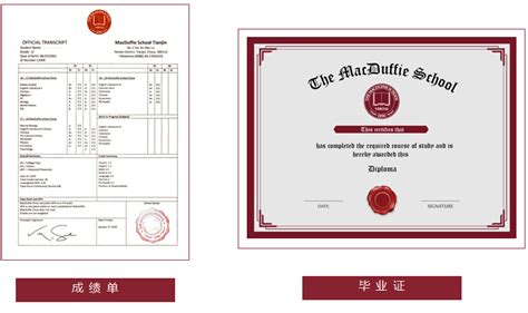 高中毕业证公证书(英语版)Word模板下载_编号grgopjxy_熊猫办公