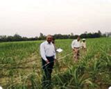 YADU CORPORATIONS