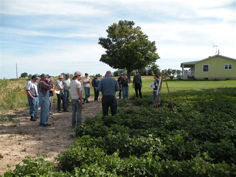 Crops 的图像结果