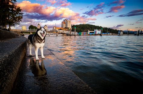Lake Coeur d'Alene-Independance Point - Furever Photography