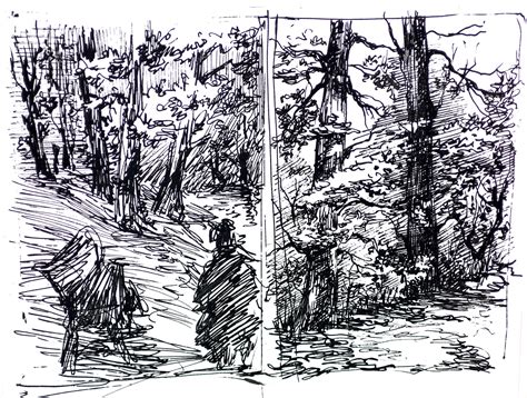 Image result for Nature Drawing Sample