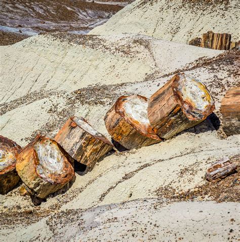 5 Best Tours & Trips from Chicago to Los Angeles 2025/2026 - TourRadar