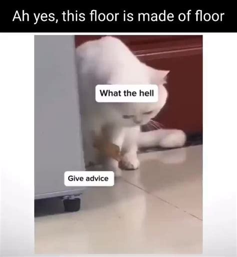 Image result for Confusing Memes Compilation