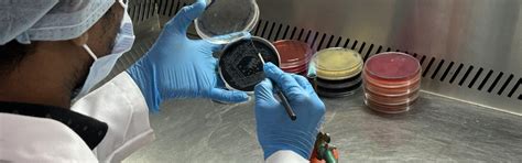 Research & Development