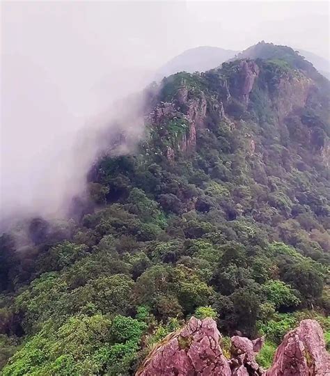 One Day Hyderabad to Anantagiri Hills Trip - Book Now @ Rs.3249 (19% off)