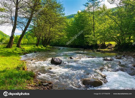 Water Spring Scenery 的图像结果