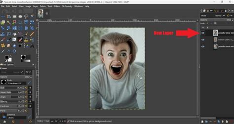 Face Swap Using GIMP 的图像结果