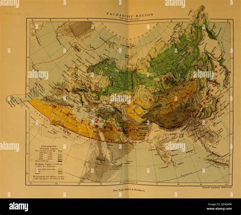 The geographical distribution of animals Stock Photo - Alamy