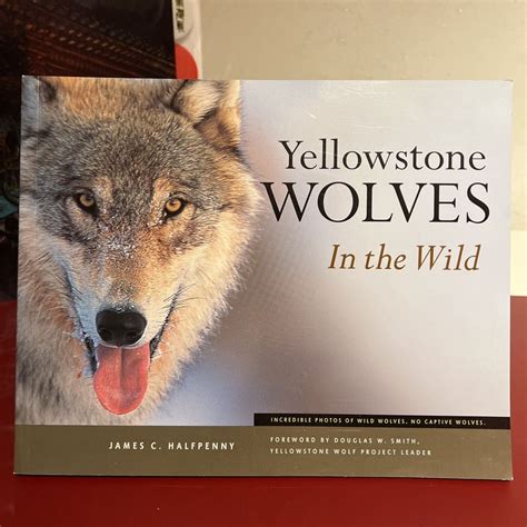 Image result for Yellowstone Wolves Book