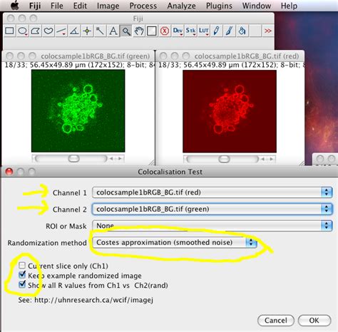 ImageJ Colocalization Analysis 的图像结果