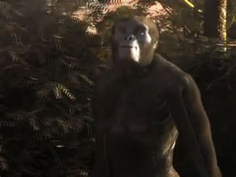 Image result for Ardipithecus Ramidus Discovery