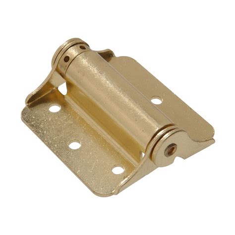 Specialty Hinges