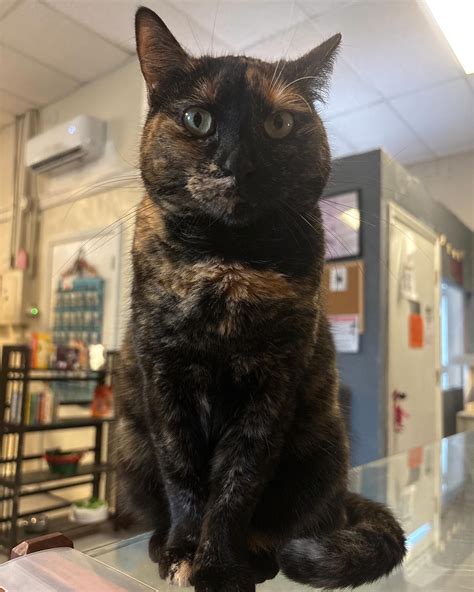 Fat Cat Books Tallahassee (@fatcatbookstally) • Instagram photos and videos
