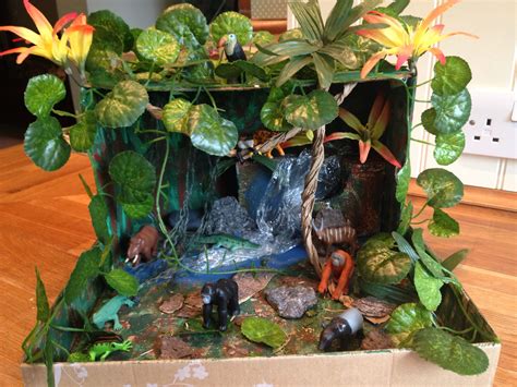 Jungle Ecosystem Diorama Tropical Rainforest Ecosystem | Rainforest