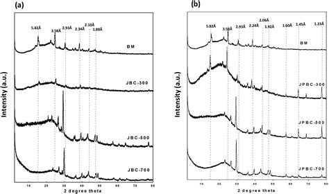 Mitigating the Toxic Effects of Chromium on Wheat (Triticum aestivum L ...