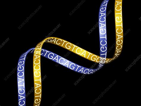 Image result for Genetic Code Videos