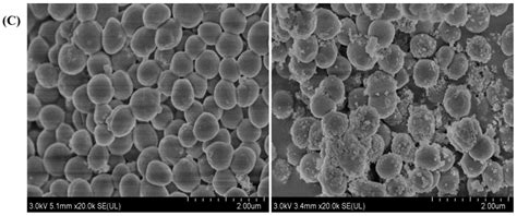 Preparation and Biotoxicity of Coal-Based Carbon Dot Nanomaterials