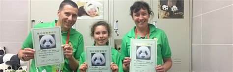 6 Top Places to See Giant Pandas in China: 3 Panda Bases, 3 Zoos