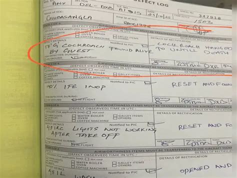 air india cockroach flight logbook: Cockroach hanged until death? Air ...