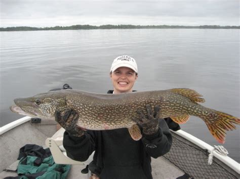 Stacy Rose pike - Grand Forks Herald | Grand Forks, East Grand Forks news, weather & sports